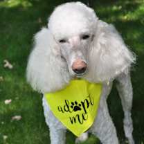 Thumbnail photo of TUCKER #1