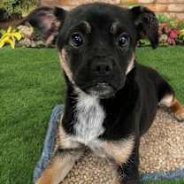 Thumbnail photo of Matilda #1