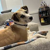 Thumbnail photo of Zoey #3