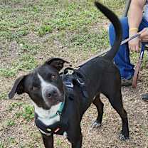 Thumbnail photo of Jacks #4