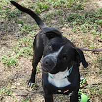 Thumbnail photo of Jacks #1