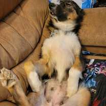 Thumbnail photo of Xena #2