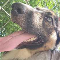 Thumbnail photo of Xena #3