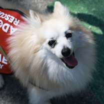 Thumbnail photo of Hansel #2