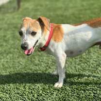 Thumbnail photo of Lance #3