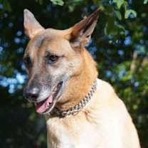 Thumbnail photo of Boon #4