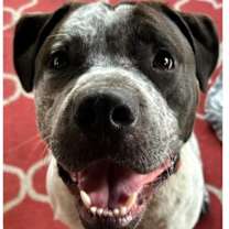 Thumbnail photo of Boney #1