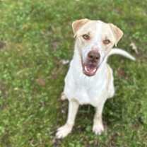 Thumbnail photo of Arya #1