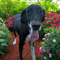 Thumbnail photo of Eloise #3