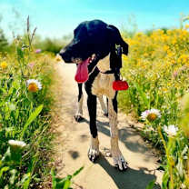 Thumbnail photo of Eloise #4