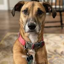 Thumbnail photo of Penny #1