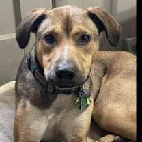 Thumbnail photo of Lenny (TX) #1