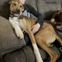 Thumbnail photo of Lenny (TX) #3