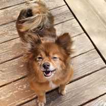 Thumbnail photo of Miwak #3