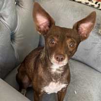 Thumbnail photo of Coco Nbr2 #2