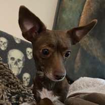 Thumbnail photo of Coco Nbr2 #3