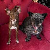 Thumbnail photo of Coco Nbr2 #4