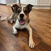 Thumbnail photo of Hudson #1