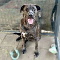 Thumbnail photo of Brantley #1