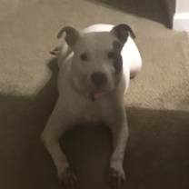 Thumbnail photo of BLANCA (COURTESY POST) #2