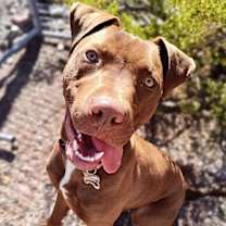 Thumbnail photo of Twix #4