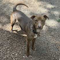 Thumbnail photo of Gordy #3