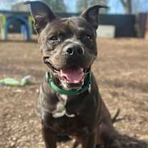Thumbnail photo of Biggie #2