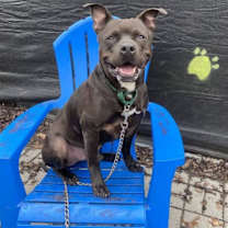 Thumbnail photo of Biggie #3