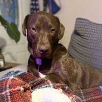 Thumbnail photo of Bandit #3