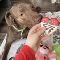 Thumbnail photo of Bandit #4