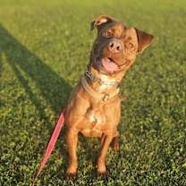 Thumbnail photo of Reba #2
