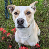 Thumbnail photo of Nala Kai #4