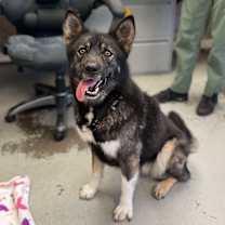 Thumbnail photo of Ayla #1