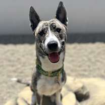 Thumbnail photo of Isabella #2