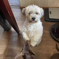 Thumbnail photo of Barry #2