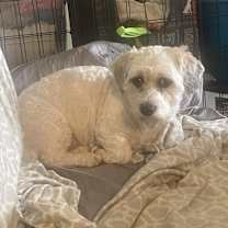 Thumbnail photo of Barry #3