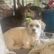 Thumbnail photo of Barry #4