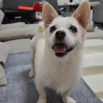 Thumbnail photo of Cori #1