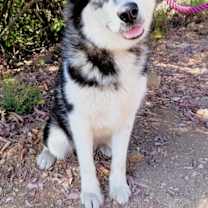 Thumbnail photo of Hannah #3