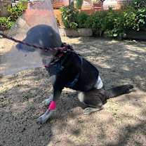 Thumbnail photo of KITA #3