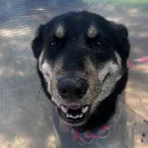 Thumbnail photo of KITA #1