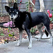 Thumbnail photo of KITA #2