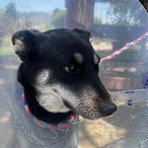 Thumbnail photo of KITA #3