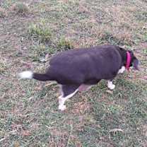 Thumbnail photo of Sydney #2