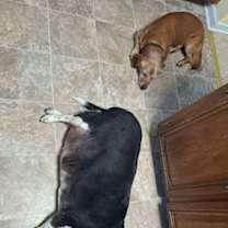 Thumbnail photo of Sydney #3