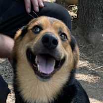 Thumbnail photo of Rocky #4