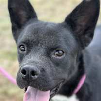 Thumbnail photo of Bear(Boy) #2