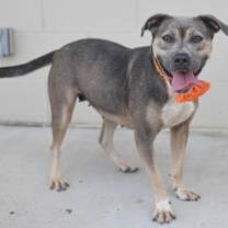 Thumbnail photo of Glenn #3