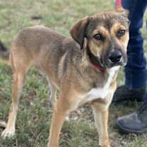 Thumbnail photo of Alex #3