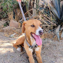 Thumbnail photo of Eddy #2
